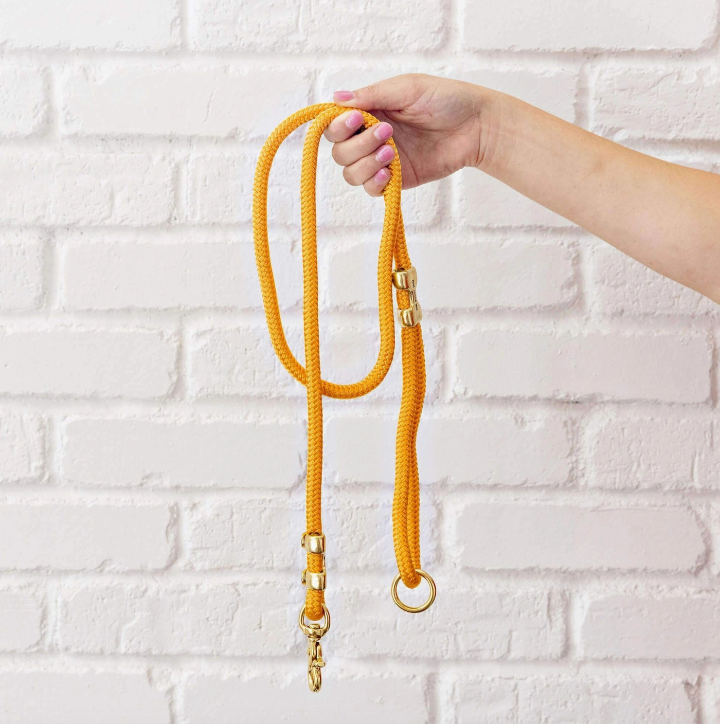 Goldenrod Marine Rope Dog Leash