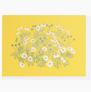 Chamomile Note Card