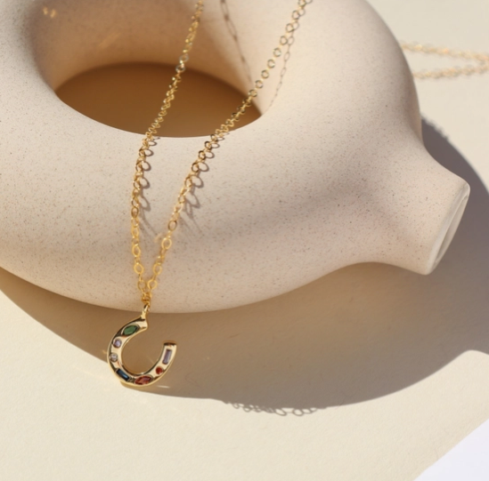 Token Horseshoe Charm Necklace