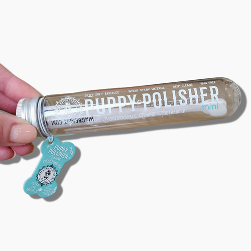 Puppy Polisher Mini Toothbrush S/M